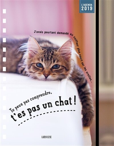 Front cover_AGENDA 19 T'ES PAS CHAT