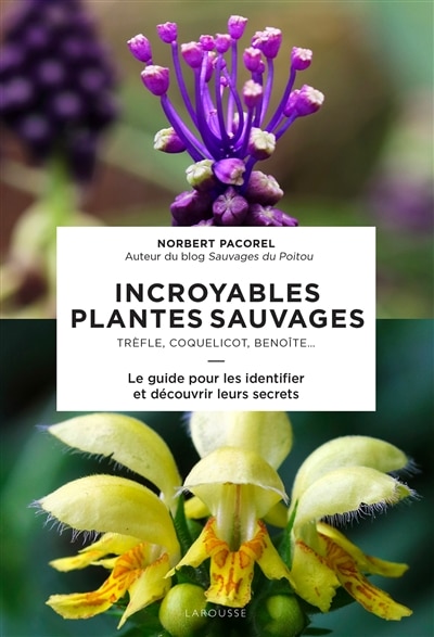Front cover_Incroyables plantes sauvages
