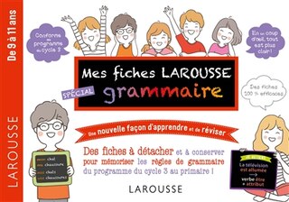 Front cover_Fiches larousse special grammaire -mes