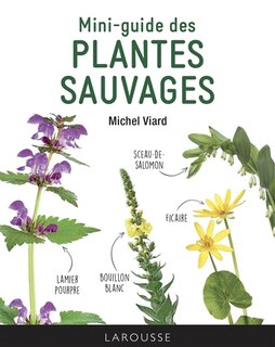 Front cover_Mini-guide des plantes sauvages