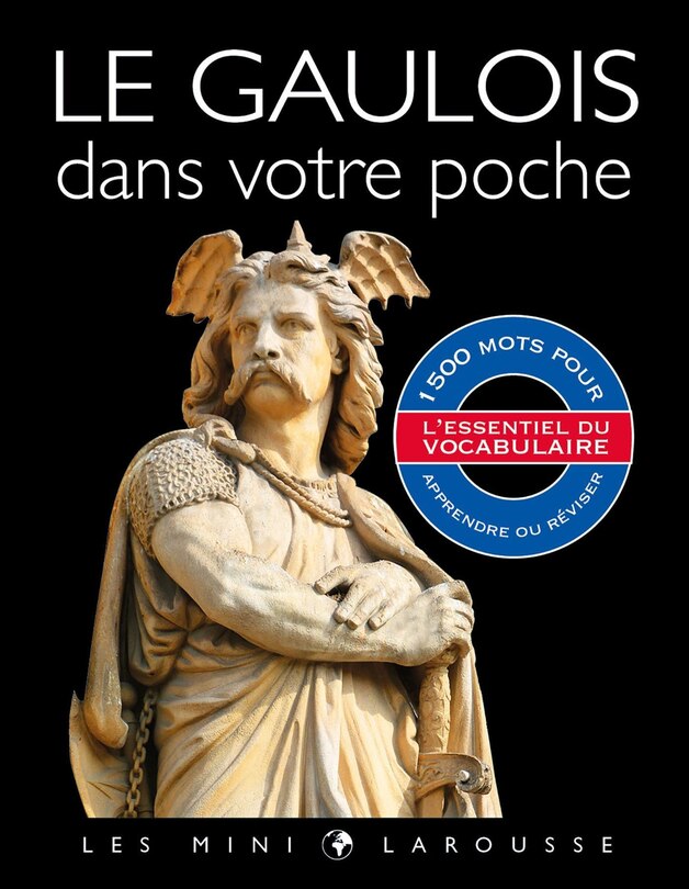Front cover_Dictionnaire de gaulois illustré