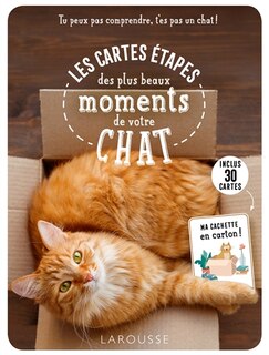 Front cover_Tu peux pas comprendre, t'es pas un chat