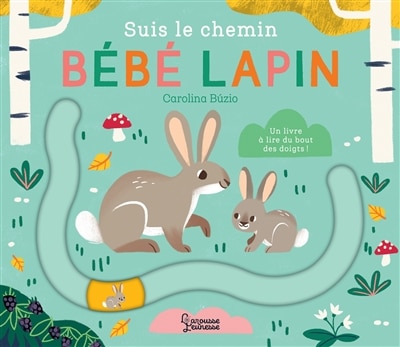 Front cover_Suis le chemin bébé lapin