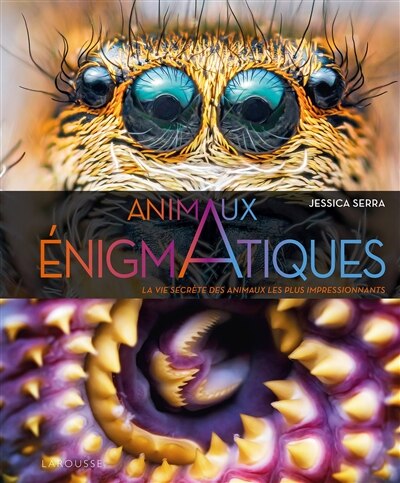 Front cover_Animaux énigmatiques