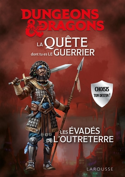 Couverture_DUNGEONS & DRAGONS La Quête dont tu es le guerrier