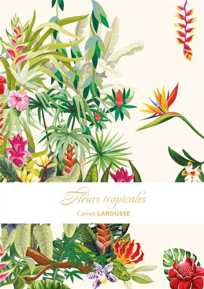 Front cover_Carnet Larousse