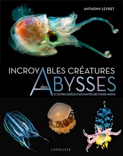 Front cover_Fascinantes créatures