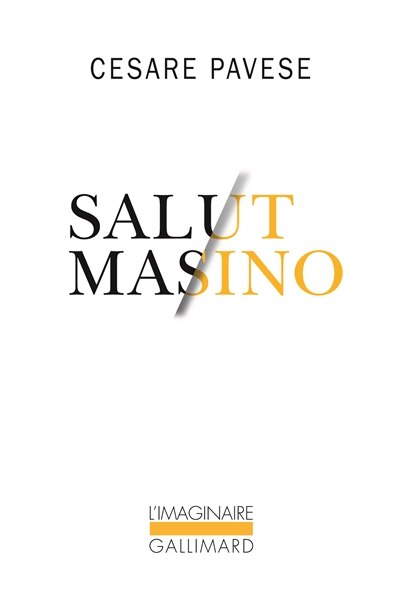 Couverture_Salut Masino