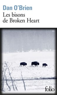 Front cover_Les bisons de Broken Heart