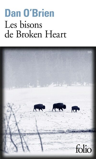 Front cover_Les bisons de Broken Heart