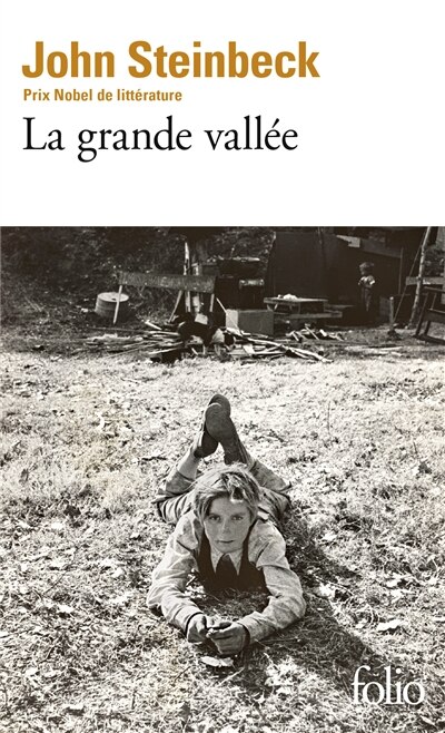 Couverture_La grande vallée