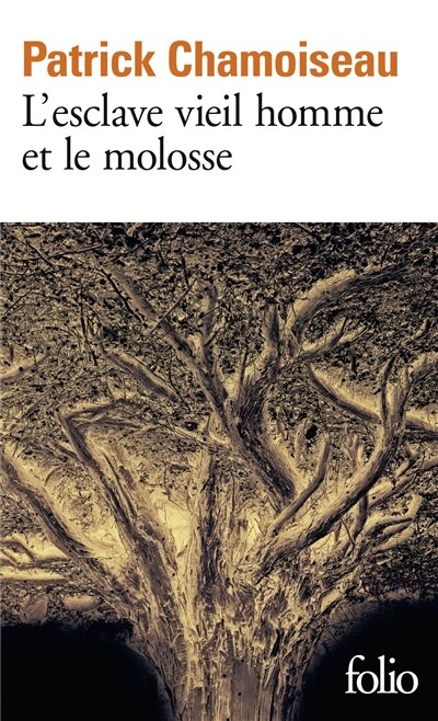 Couverture_L' esclave vieil homme et le molosse