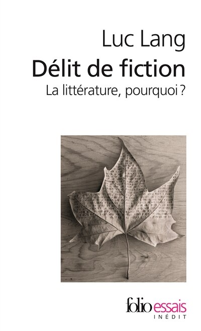 Couverture_Délit de fiction : la littérature, pourquoi ?