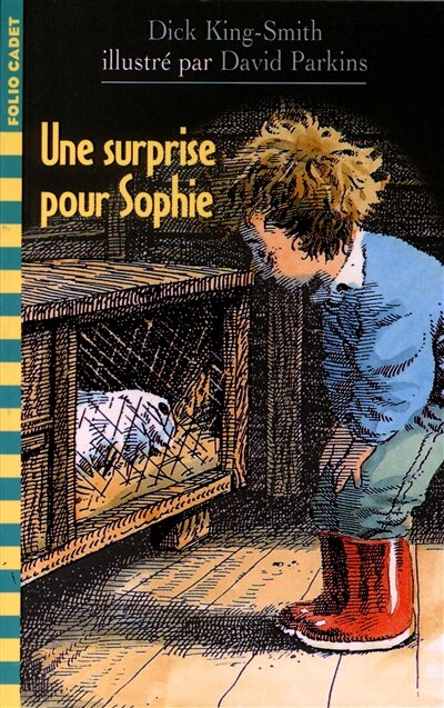 Couverture_Une surprise pour Sophie