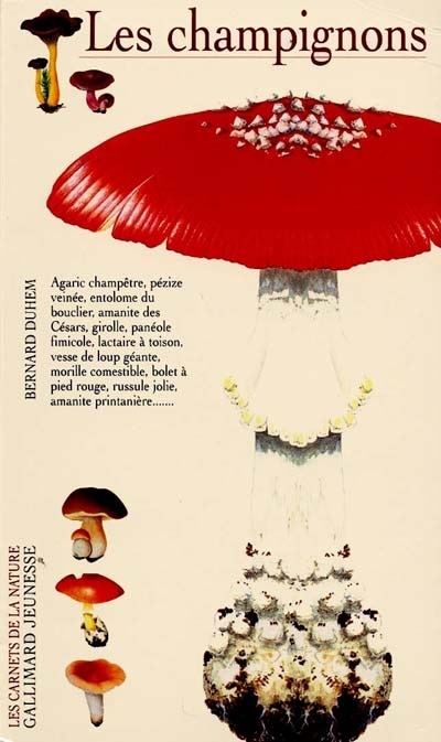 Front cover_Les champignons