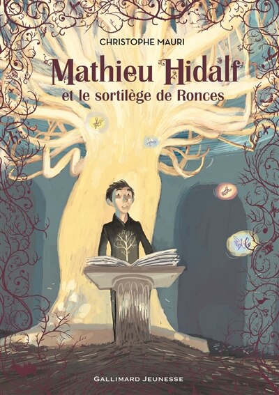 Couverture_Mathieu Hidalf et le sortilège de Ronces
