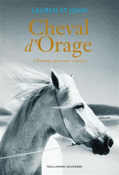 Couverture_Chantage pour une victoire