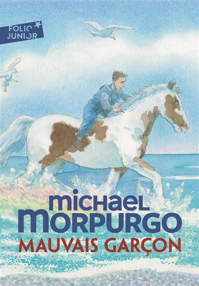 Couverture_Mauvais garçon