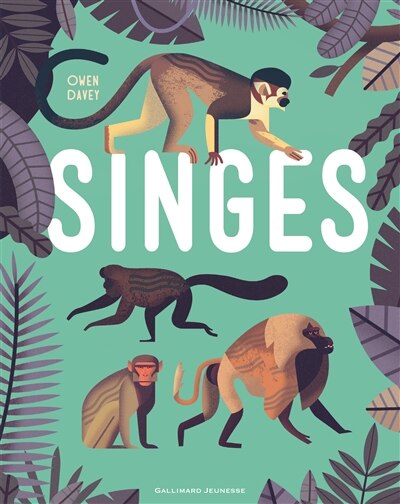 Front cover_Singes