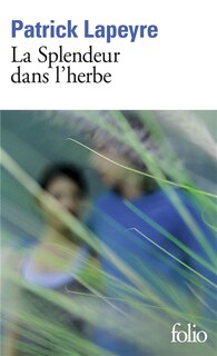 Couverture_La splendeur dans l'herbe