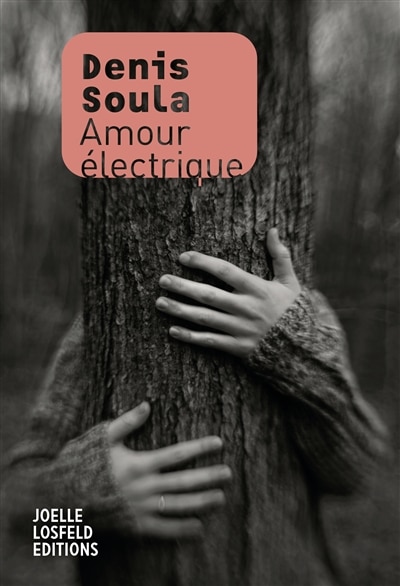Front cover_Amour &eacute;lectrique