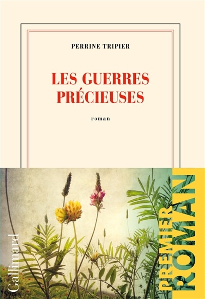 Couverture_Les guerres précieuses