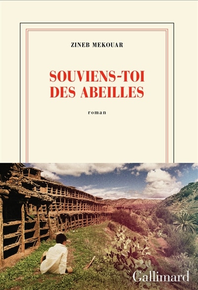 Couverture_Souviens-toi des abeilles