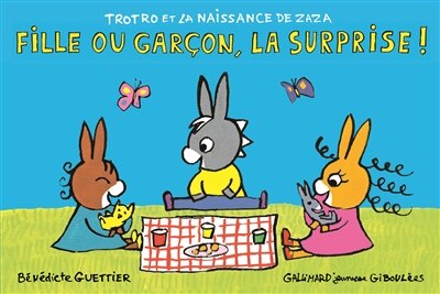 Couverture_Fille ou garçon, la surprise !
