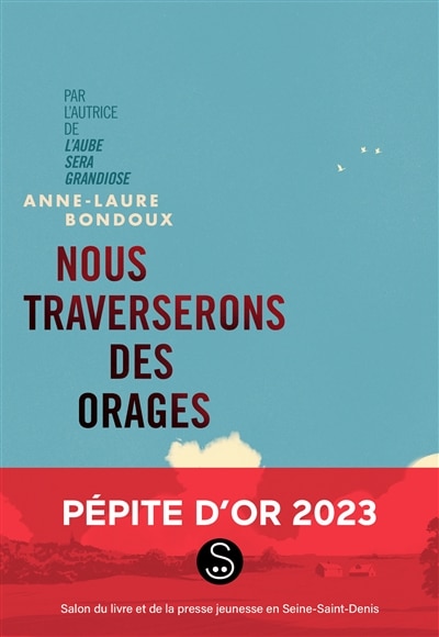 Couverture_NOUS TRAVERSERONS DES ORAGES
