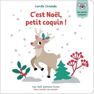 Front cover_C'est Noël, petit coquin !