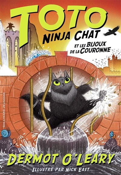 Couverture_Toto ninja chat et les bijoux de la couronne
