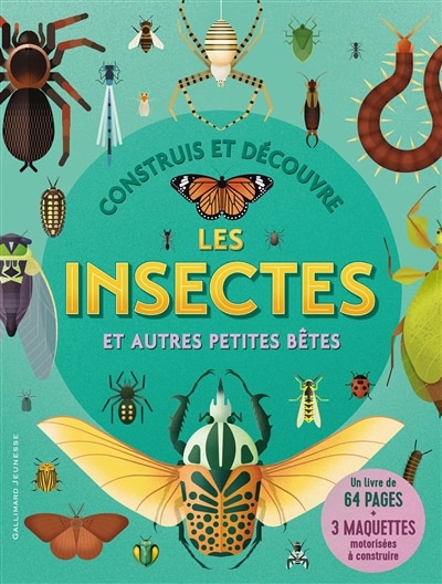 Couverture_CONTTRUIS ET DÉCOUVRE INSECTES ET AUTRES PETITES BÊTES