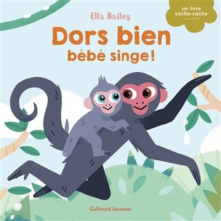 Front cover_Dors bien bébé singe !