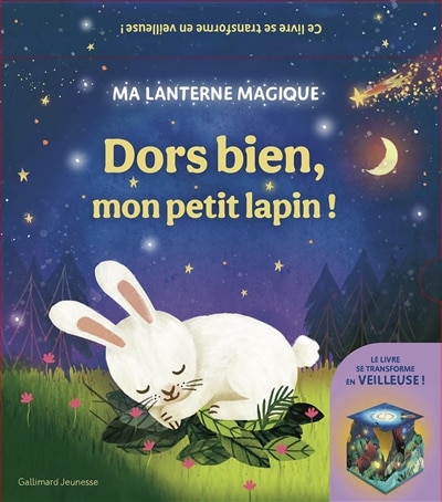 Couverture_Dors bien, mon petit lapin !