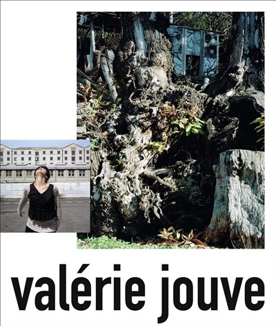 Couverture_Valérie Jouve