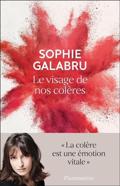 Couverture_Le visage de nos col&egrave;res