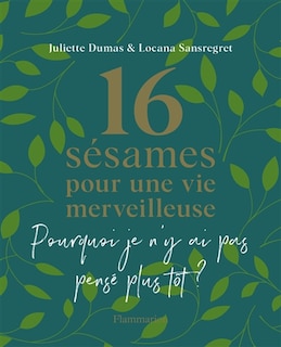 Front cover_16 sésames pour une vie merveilleuse : pourquoi je n'y ai pas pensé plus tôt ?