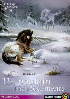 Front cover_Un poulain dans la tourmente