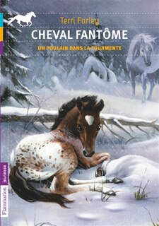 Front cover_Un poulain dans la tourmente