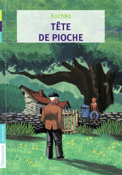 Couverture_Tête de pioche