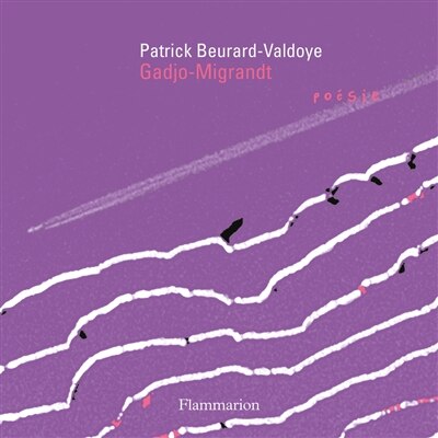 Couverture_Gadjo-Migrandt