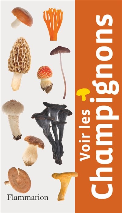 Couverture_Voir les oiseaux