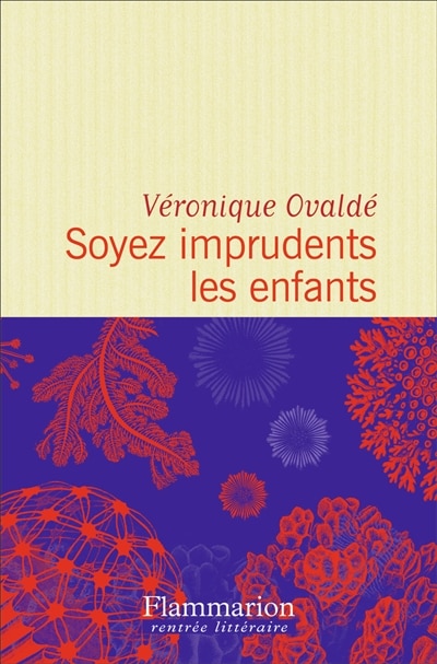 Couverture_Soyez imprudents les enfants