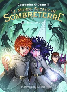 Couverture_Les âmes perdues