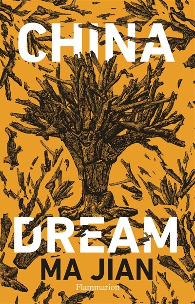 Front cover_China dream