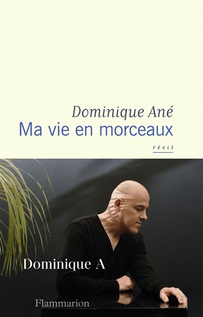 Front cover_Ma vie en morceaux : récit