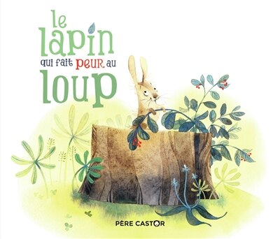 Front cover_Le lapin qui fait peur au loup