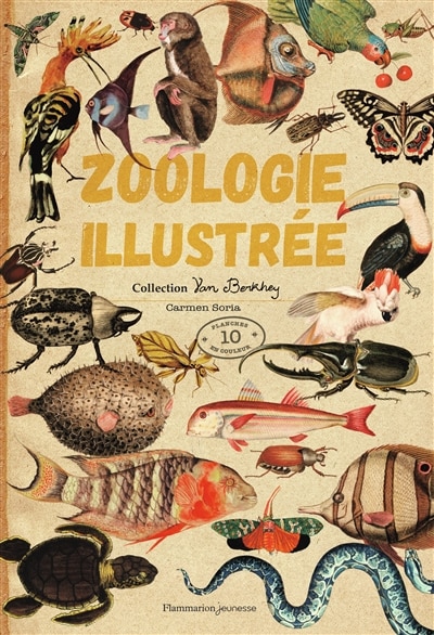 ZOOLOGIE ILLUSTRÉE