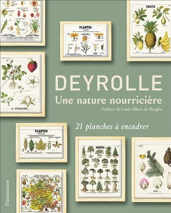 Deyrolle: une nature nourricière