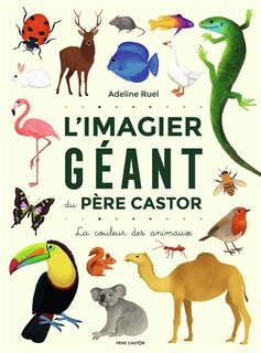 Front cover_L'imagier géant du Père Castor : la couleur des animaux